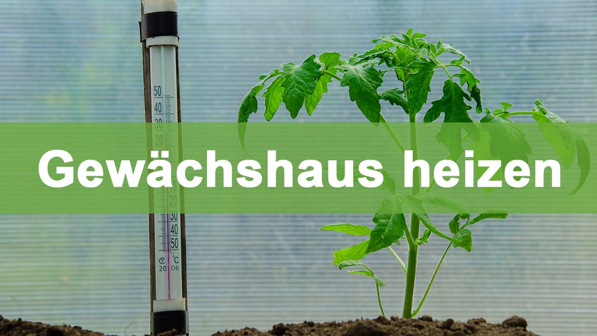 Gewächshaus heizen heizen thumb Gewächshaus heizen